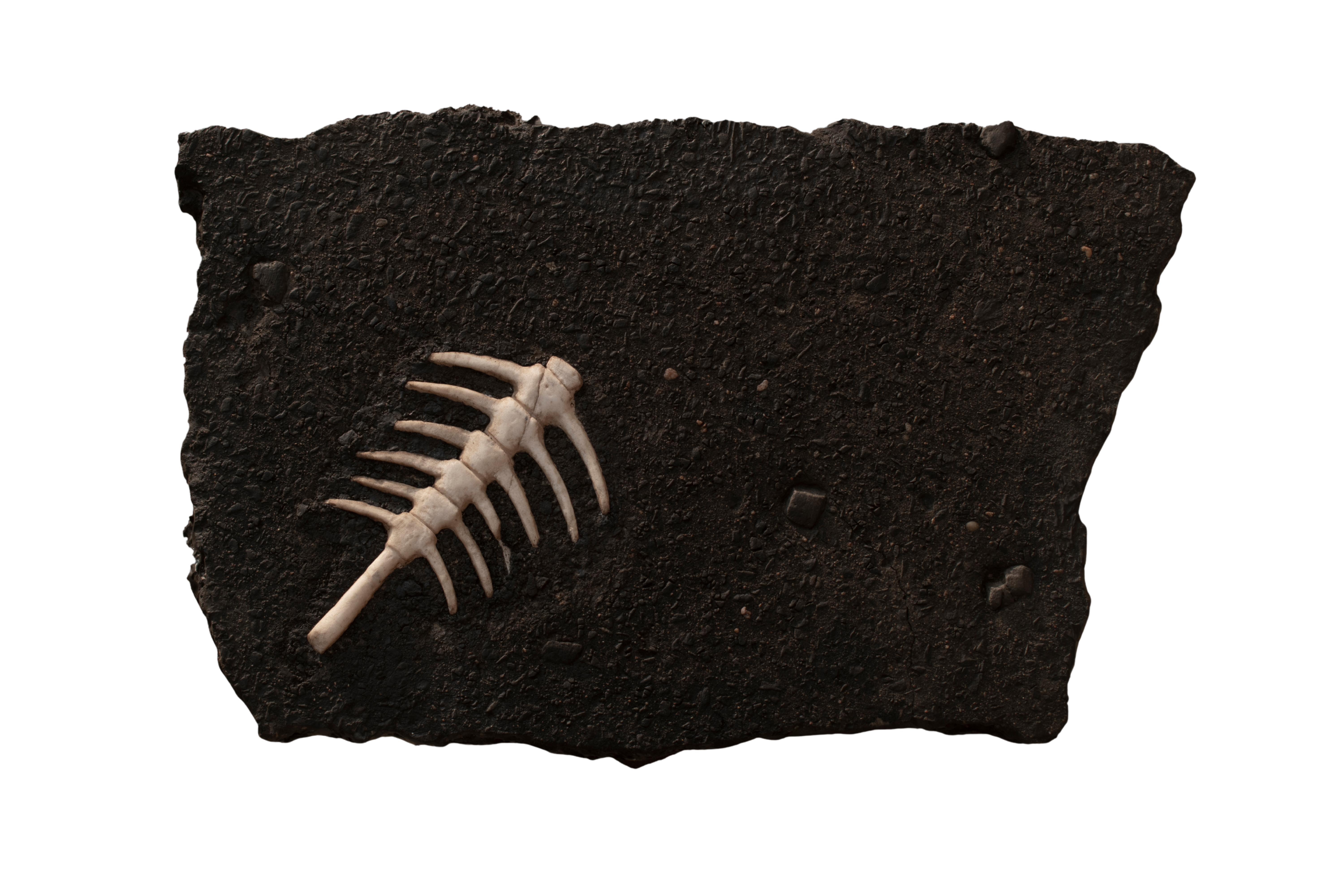 The Promising Land - VI.2